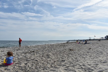 South yarmouth Cape Cod vacation rental - Go for a walk or swim at smugglers beach!