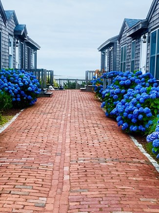 West Yarmouth Cape Cod vacation rental - Walkway to Condos