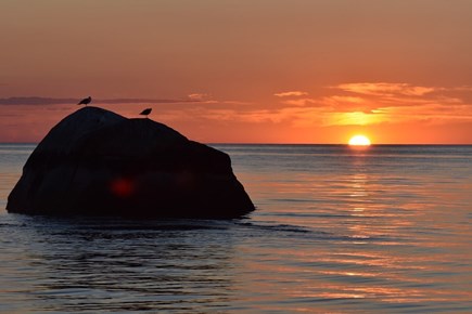 Dennis Port Cape Cod vacation rental - Sunsets to remember your stay on Cape Cod. Unaltered