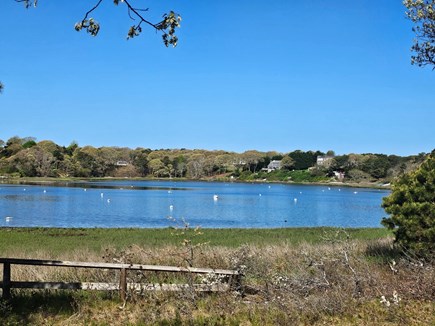 South Chatham Cape Cod vacation rental - Taylors Pond