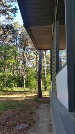 Eastham Cape Cod vacation rental - Located in a quiet, wooded environment