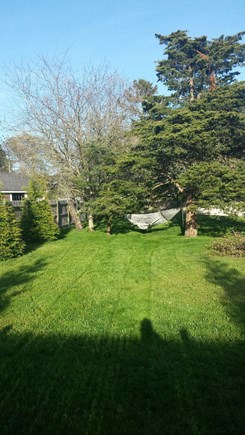 Harwich Port, Red River Beach Cape Cod vacation rental - Large back yard for all your yard games and a relaxing hammock