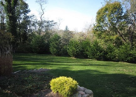 Orleans Cape Cod vacation rental - Spacious lawn