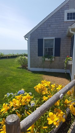 Dennis Port Cape Cod vacation rental - 4 bedroom/3 bath oceanfront cottage.