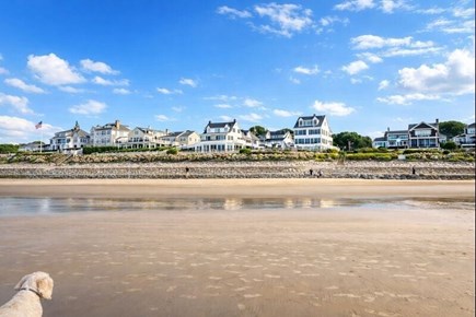 Plymouth, Priscilla Beach MA vacation rental - Gorgeous Priscilla Beach! Dog friendly year round.