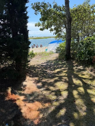 Yarmouth, Bass River Village in South Ya Cape Cod vacation rental - View from pathway of our beach.