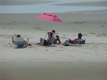 Provincetown Cape Cod vacation rental - A sandbar makes it fun to sit out or explore during low tide