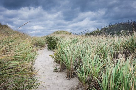 East Sandwich Cape Cod vacation rental - Dune pathway to the beach