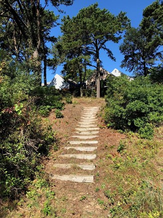 South Orleans on Pleasant Bay Cape Cod vacation rental - Path Down to Beach, from Back Yard