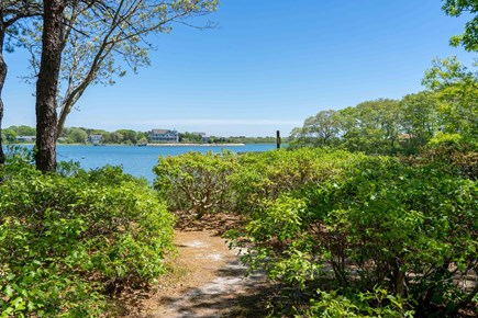 East Falmouth Cape Cod vacation rental - Back yard path the Eel River