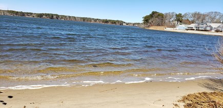 Dennisport Cape Cod vacation rental - Swan Pond, steps away from the house, launch  canoes & kayaks