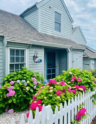 New Seabury, Maushop Village Cape Cod vacation rental - Cottage in July when hydrangeas are in full bloom!