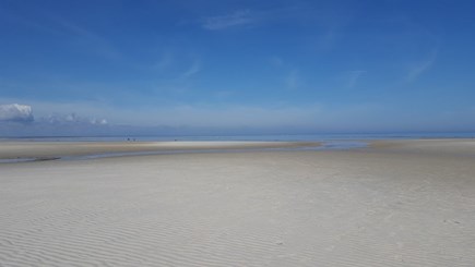 Dennis Cape Cod vacation rental - Low tide at Chapin and Mayflower Beaches - only a 3 minute walk!