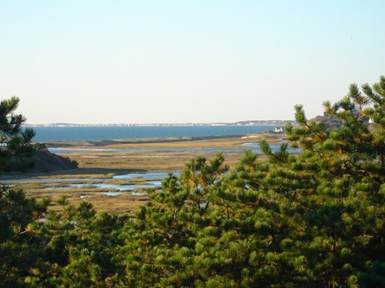 South Truro Cape Cod vacation rental - Toward Pamet from nearby conservation land