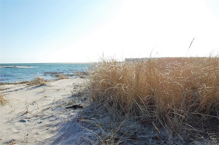 Chatham Cape Cod vacation rental - Dunes at Little Beach