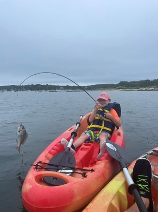 Pocasset, Monument Beach Cape Cod vacation rental - Plenty of fish to catch using  the kayaks, docks or shoreline!