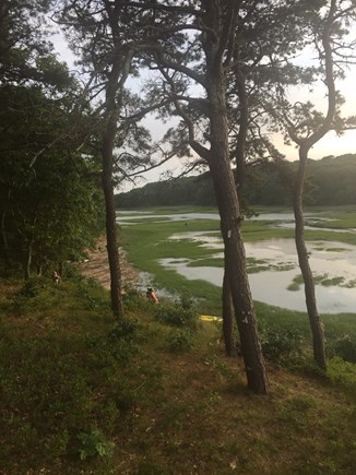 Wellfleet Cape Cod vacation rental - Views of tidal river, drop rayaks right in from backyard!