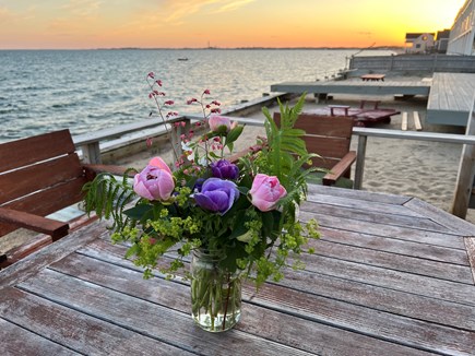 North Truro Cape Cod vacation rental - Sunsets from the Deck