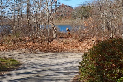 E Falmouth Cape Cod vacation rental - Access to Great Pond across Road from our Home