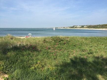 Brewster Cape Cod vacation rental - Easy walk to nice calm bay beach