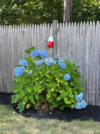 Hyannis Cape Cod vacation rental - 