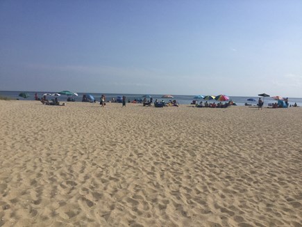 Hyannis Cape Cod vacation rental - Beautiful beaches