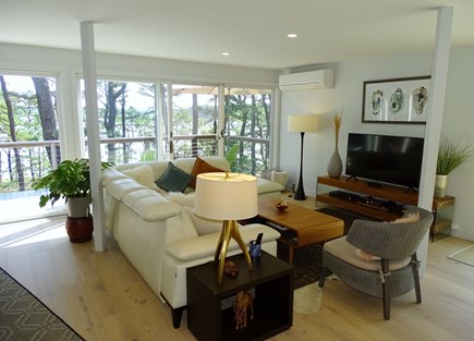 Wellfleet Cape Cod vacation rental - Comfortable living/TV  area with leather sofa.  Opens to 2 decks.