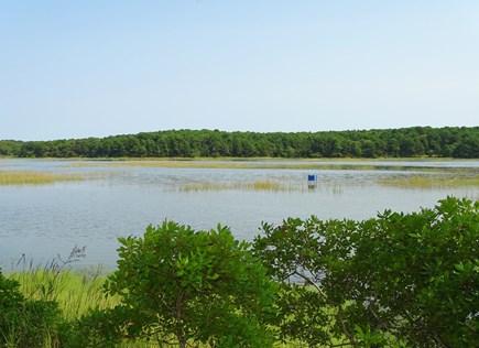 Wellfleet Cape Cod vacation rental - View from the edge of the tidal marsh at the end of the driveway