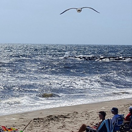 Dennis Port Cape Cod vacation rental - Private association beach, Nantucket Sound