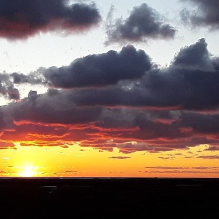 Wellfleet Cape Cod vacation rental - 1 lot away, in Dec this sunset pic was taken