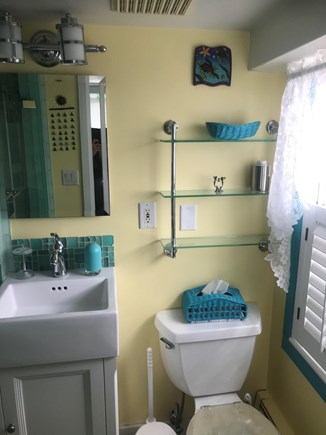 Provincetown, Bull Ring Wharf Oceanfront Cape Cod vacation rental - Bathroom 1