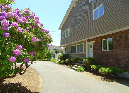 East Falmouth Cape Cod vacation rental - Lovely spring and summer blooms in front