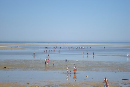Brewster Cape Cod vacation rental - At low tide, go deep on the Brewster flats at either beach mentioned.