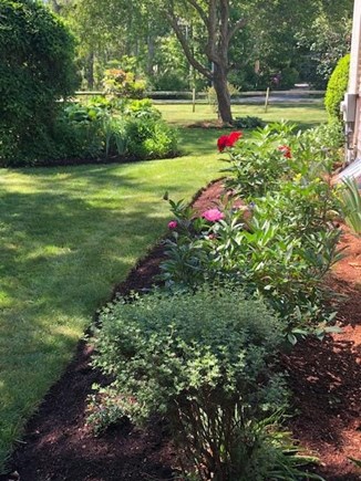 Eastham Cape Cod vacation rental - More gardens, and you may see the hummingbirds!!