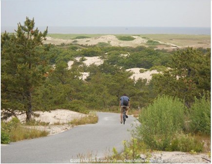 Truro Cape Cod vacation rental - The Provincelands bike trails--never boring...