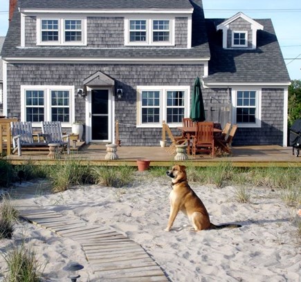North Truro Cape Cod vacation rental - View of Cottage from the private beach