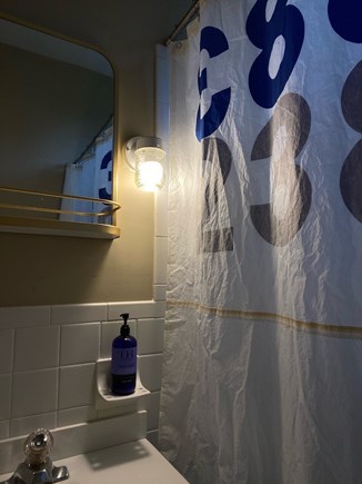 South Orleans Cape Cod vacation rental - Upper level full bath