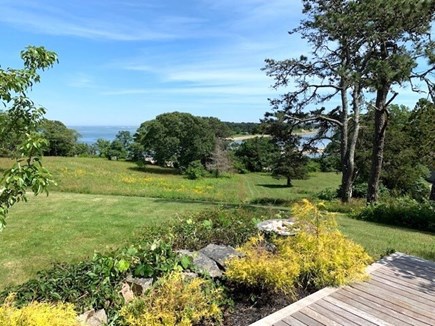 South Orleans Cape Cod vacation rental - You won't find another place like this on the Cape to vacation.