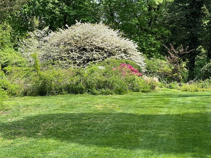 West Falmouth Cape Cod vacation rental - Private yard off of the bike path