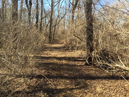 West Falmouth Cape Cod vacation rental - Path to Shining Sea Bike Path