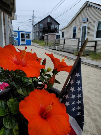 Plymouth, White Horse Beach MA vacation rental - Steps off the front porch on to the boardwalk headed to the beach