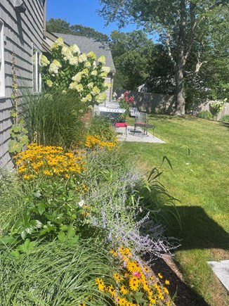 Centerville Cape Cod vacation rental - Back yard