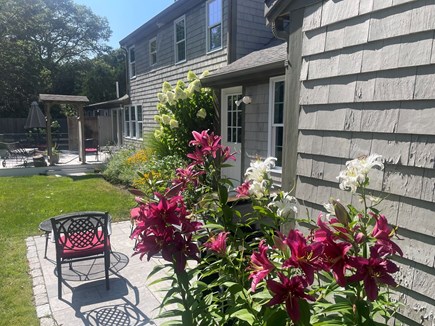Centerville Cape Cod vacation rental - Back yard