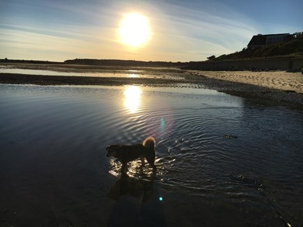 Chatham Cape Cod vacation rental - Dog friendly!