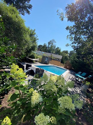 Eastham Cape Cod vacation rental - Looking back at the pool with privacy plantings that surround it