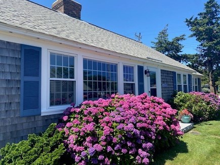 Dennis Port Cape Cod vacation rental - 