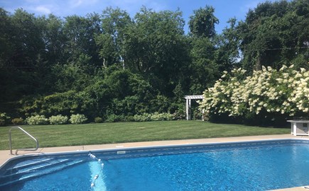 Dennis Cape Cod vacation rental - Private Pool and Spacious Lawn