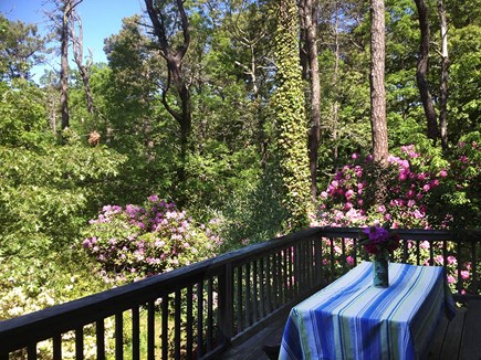 wellfleet Cape Cod vacation rental - Deck
