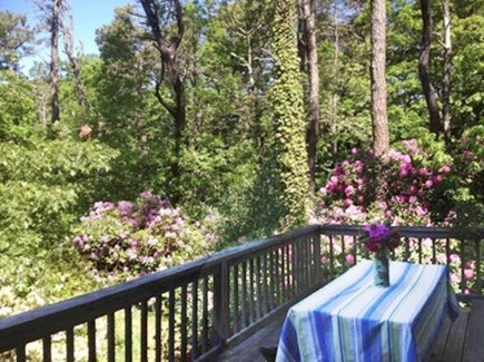 wellfleet Cape Cod vacation rental - Back Deck