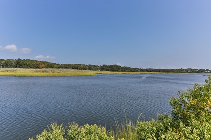 Centerville Cape Cod vacation rental - View from back yard